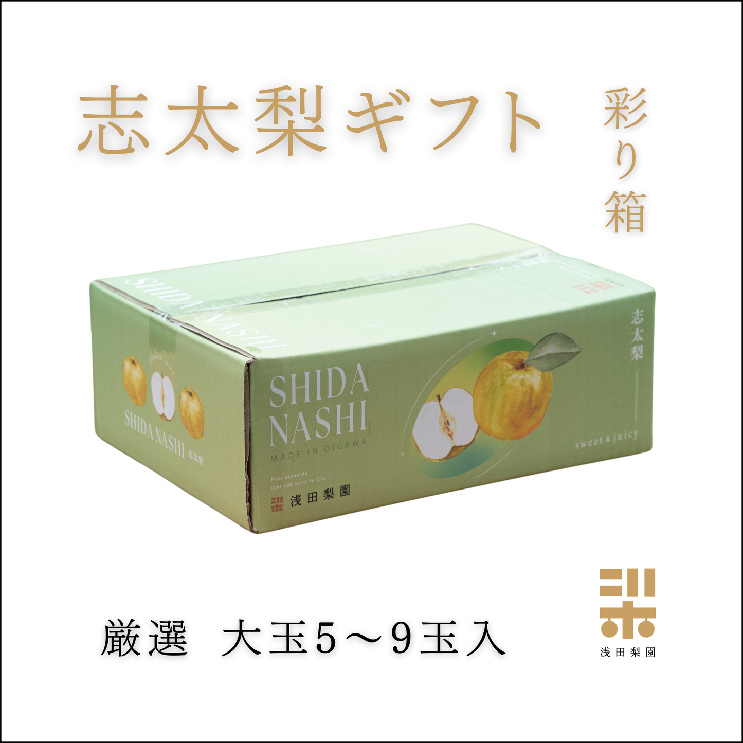 02.彩り箱【豊水】※特選